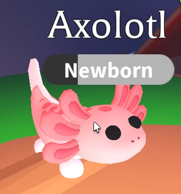 Axolotl in Adopt Me