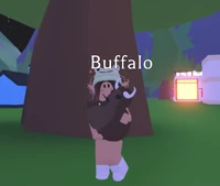 Buffalo