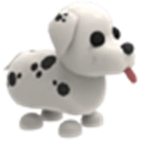 Dalmatian