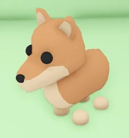 Dingo