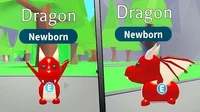 Dragon in Adopt Me