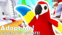 Parrot in Adopt Me