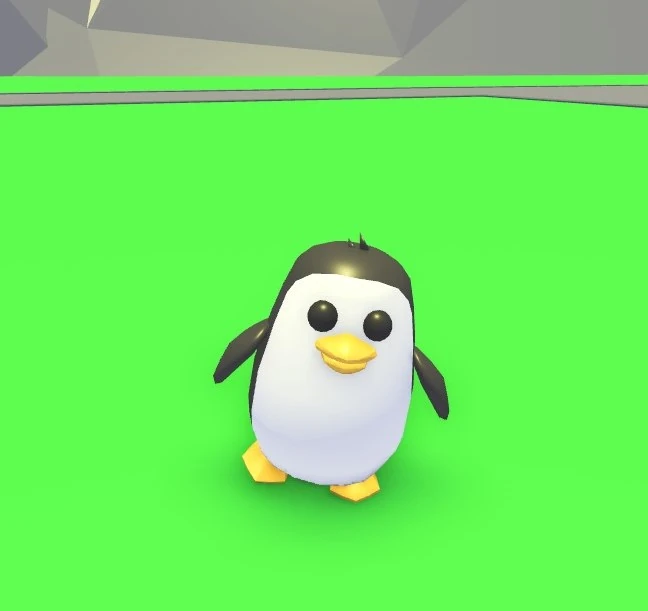 Penguin in Adopt Me